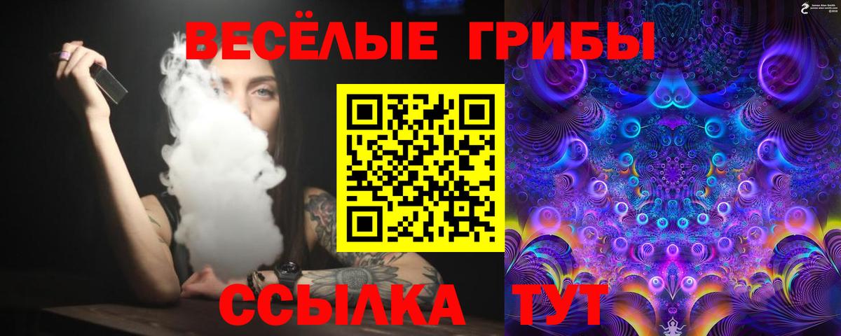 Псилоцибиновые грибы GOLDEN TEACHER Чехов