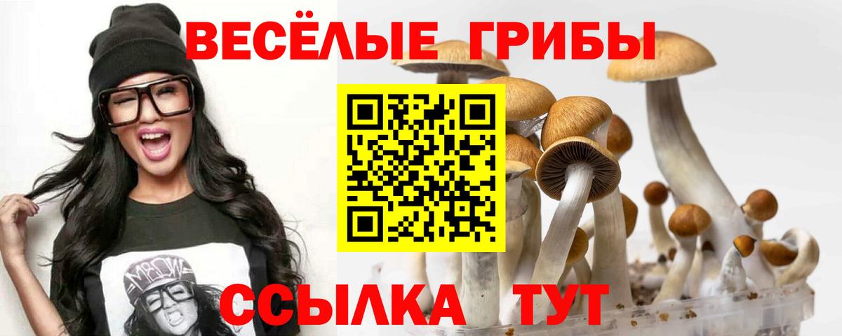 Псилоцибиновые грибы мицелий  Вход с VPN  Чехов  наркота  Псилоцибиновые грибы прущие грибы 